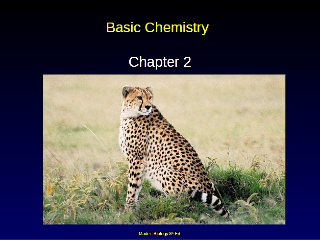 Lecture on the Chemistry of Plant Physiology