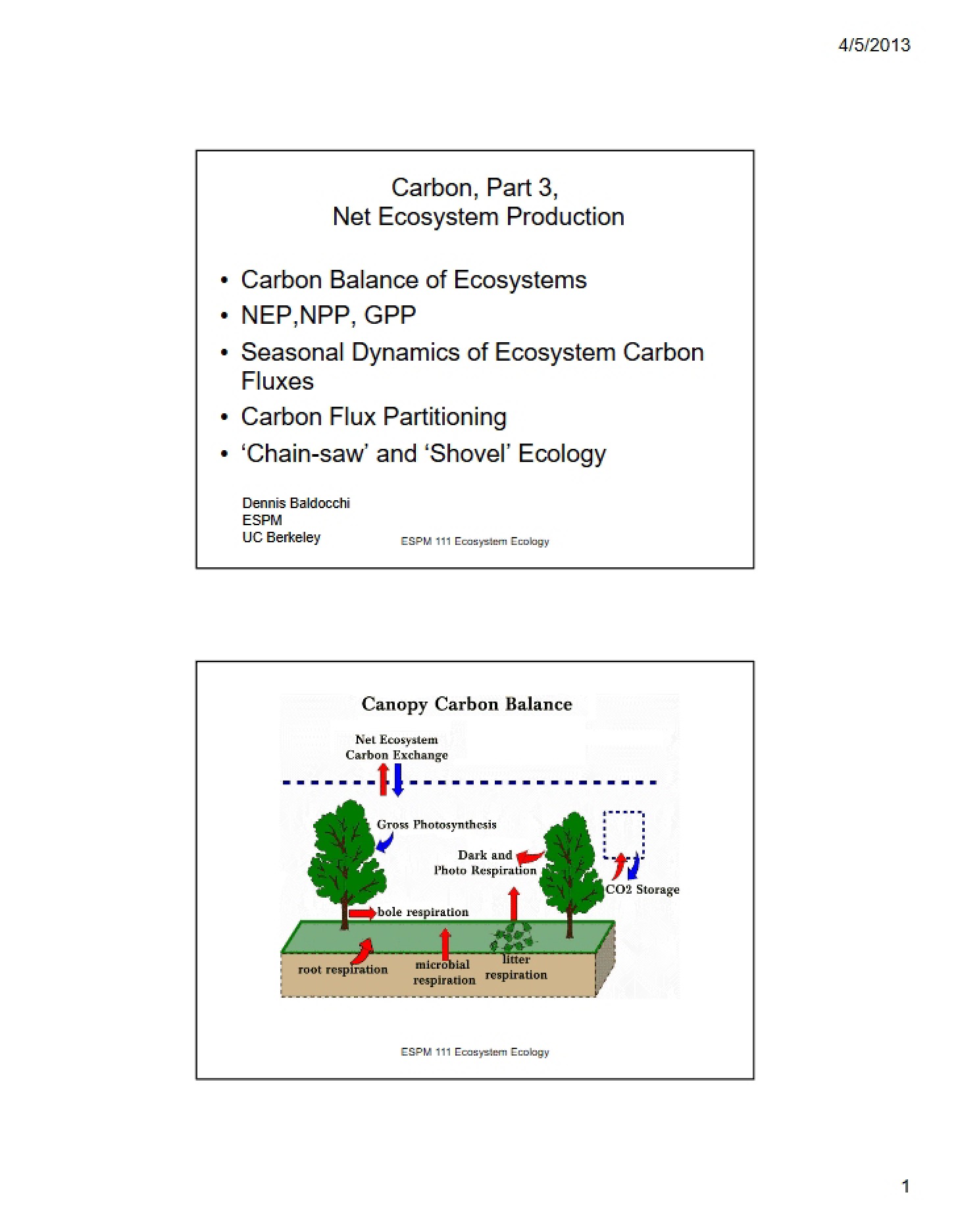 Production in Ecosystems