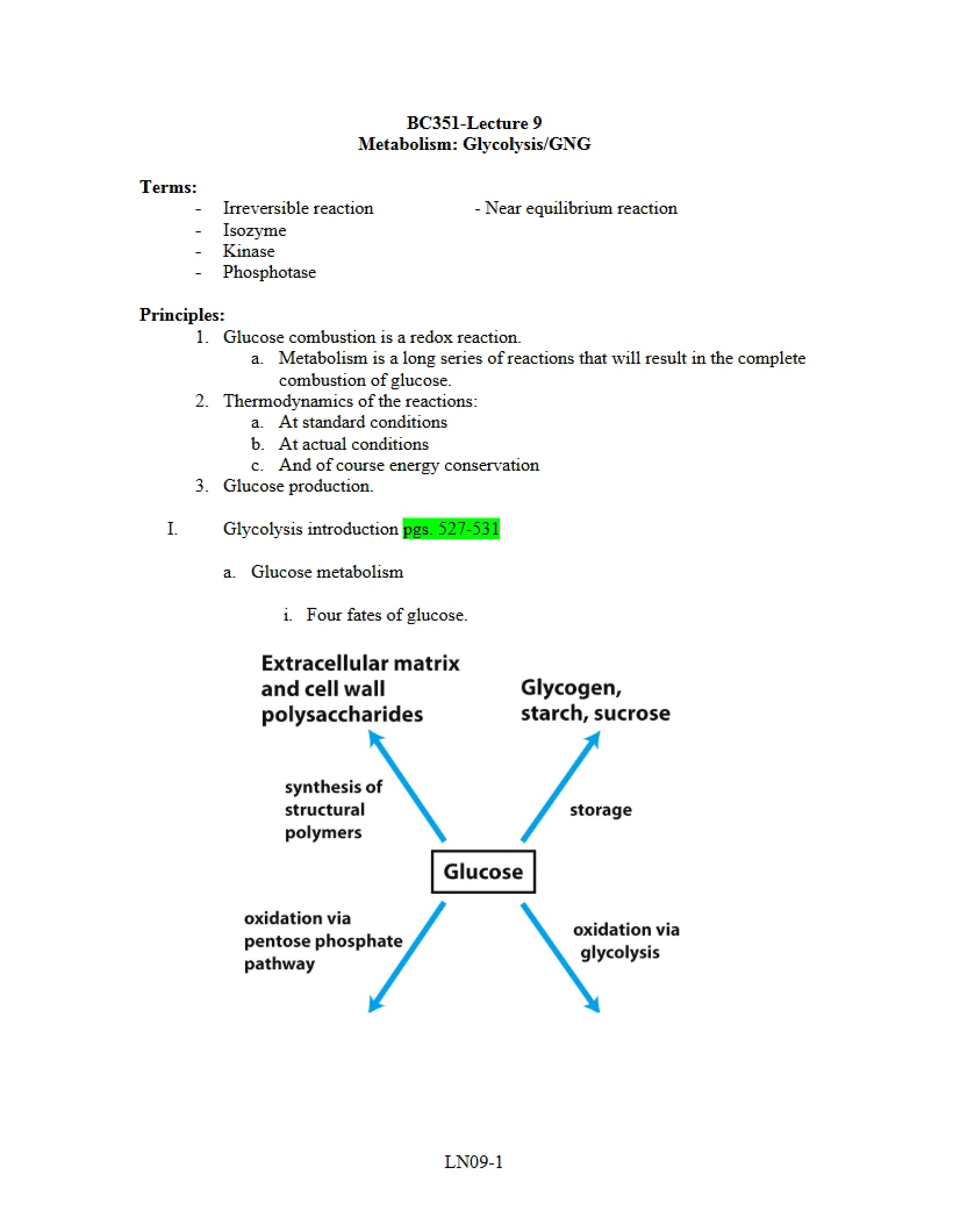 Biochemistry Lecture 9