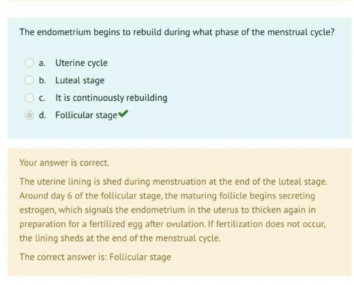 Rebuilding the Uterine Lining During the Menstrual Cycle