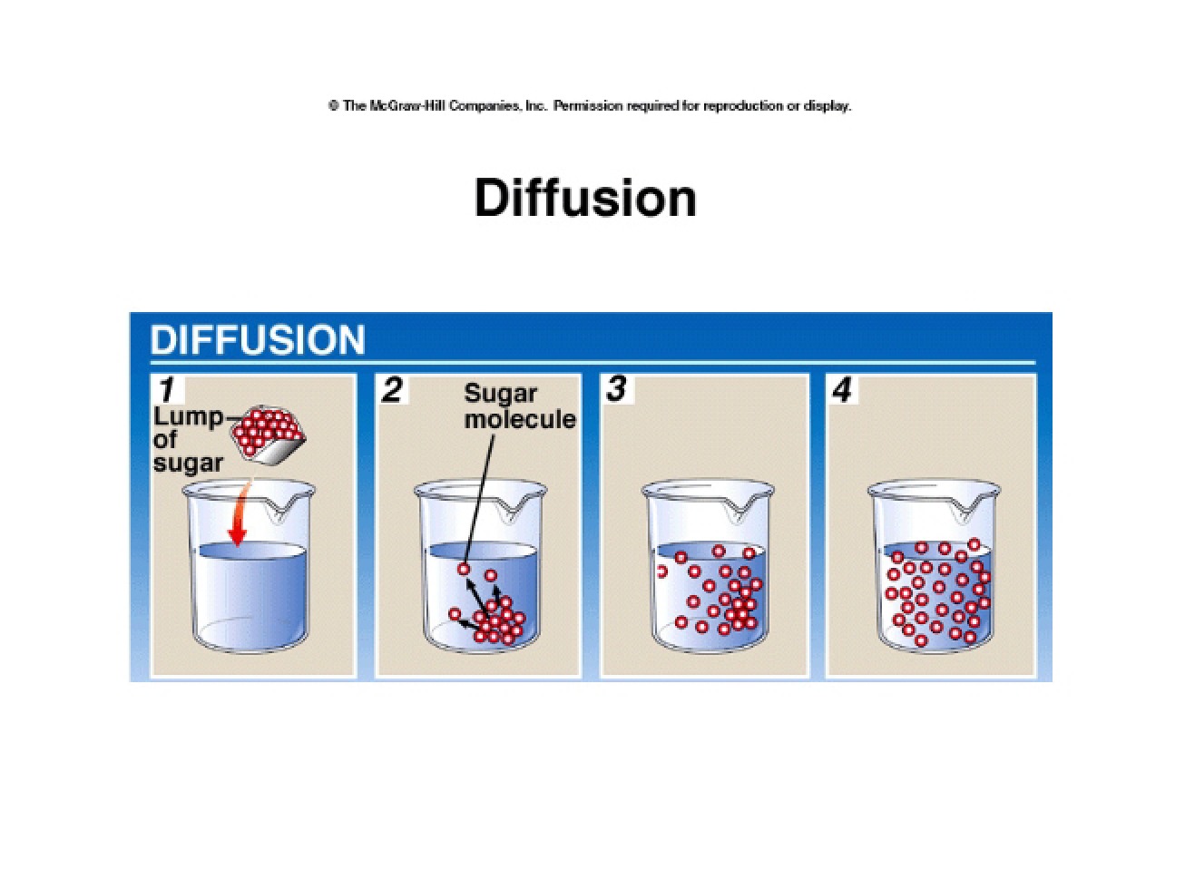 Process of Diffusion