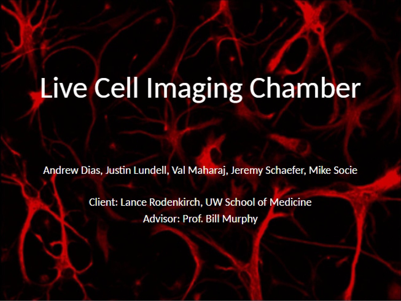 Chamber for Imaging Live Cells