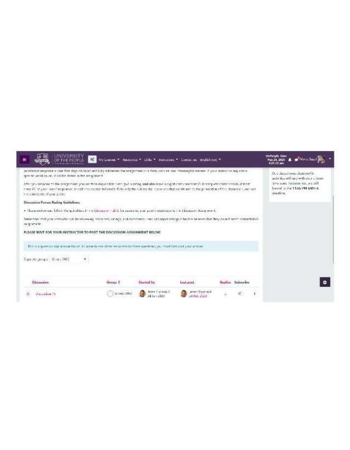 Writing Substantial Responses and Rating Peers' Contributions