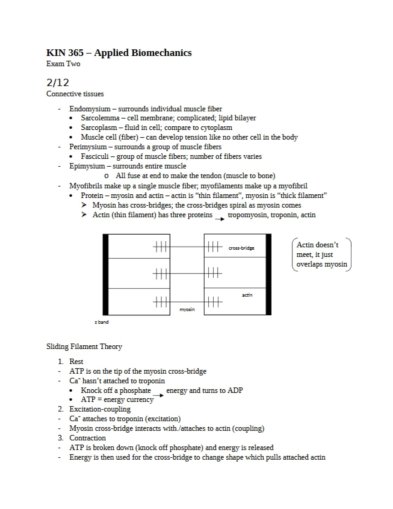 Second Examination