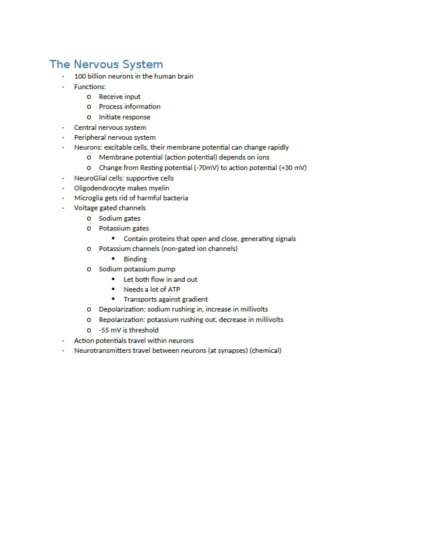 Nervous System Overview