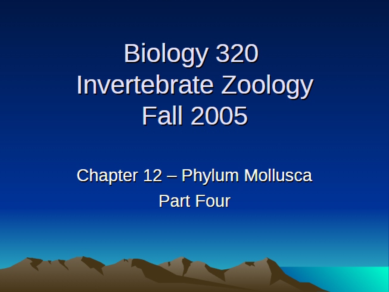 Part 04 The Phylum Mollusca