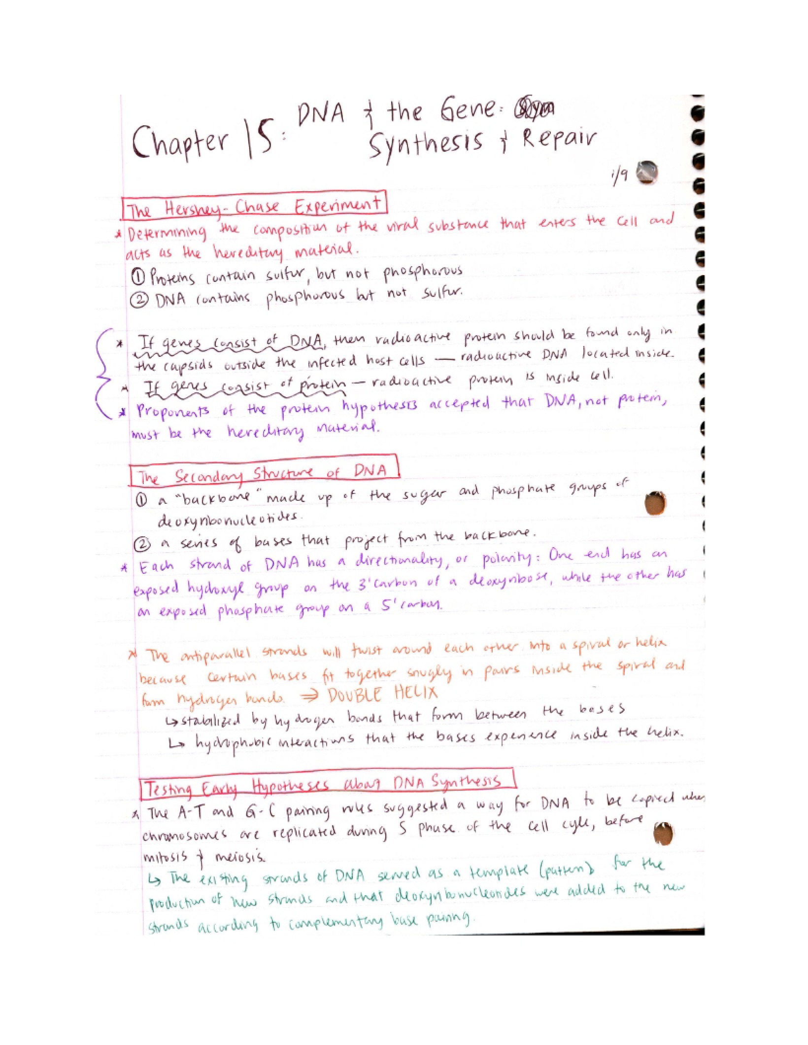 Notes from Class