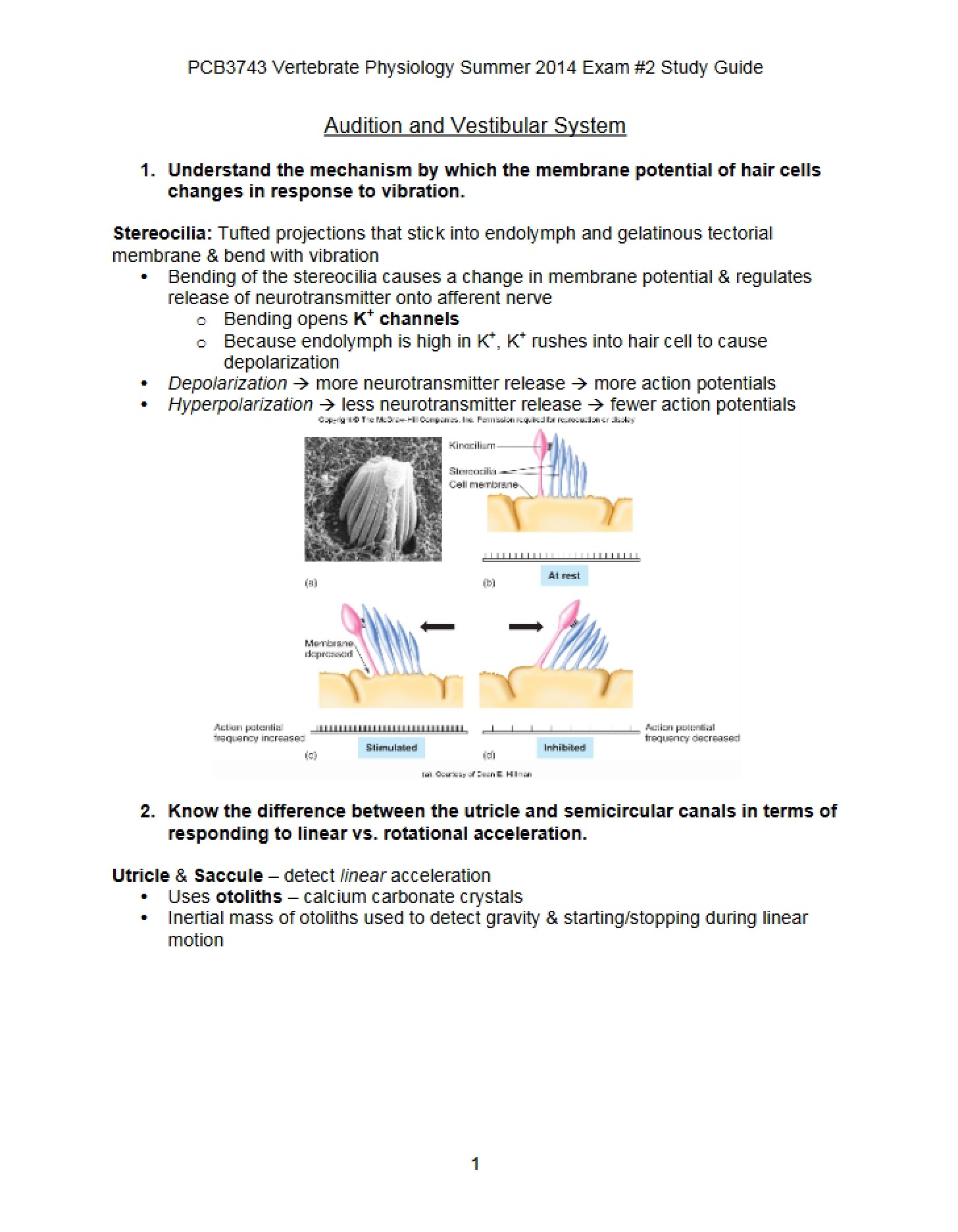 Vestibular System and Audition
