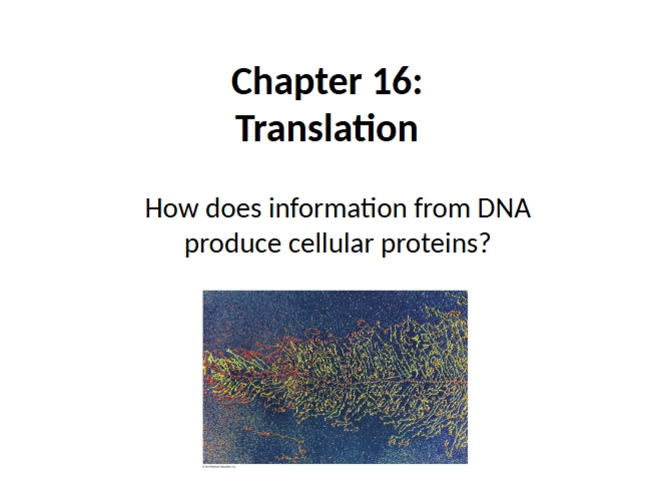 Lecture 26 Translation