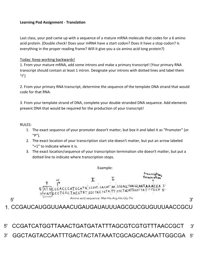 Assignment - Translation Pod