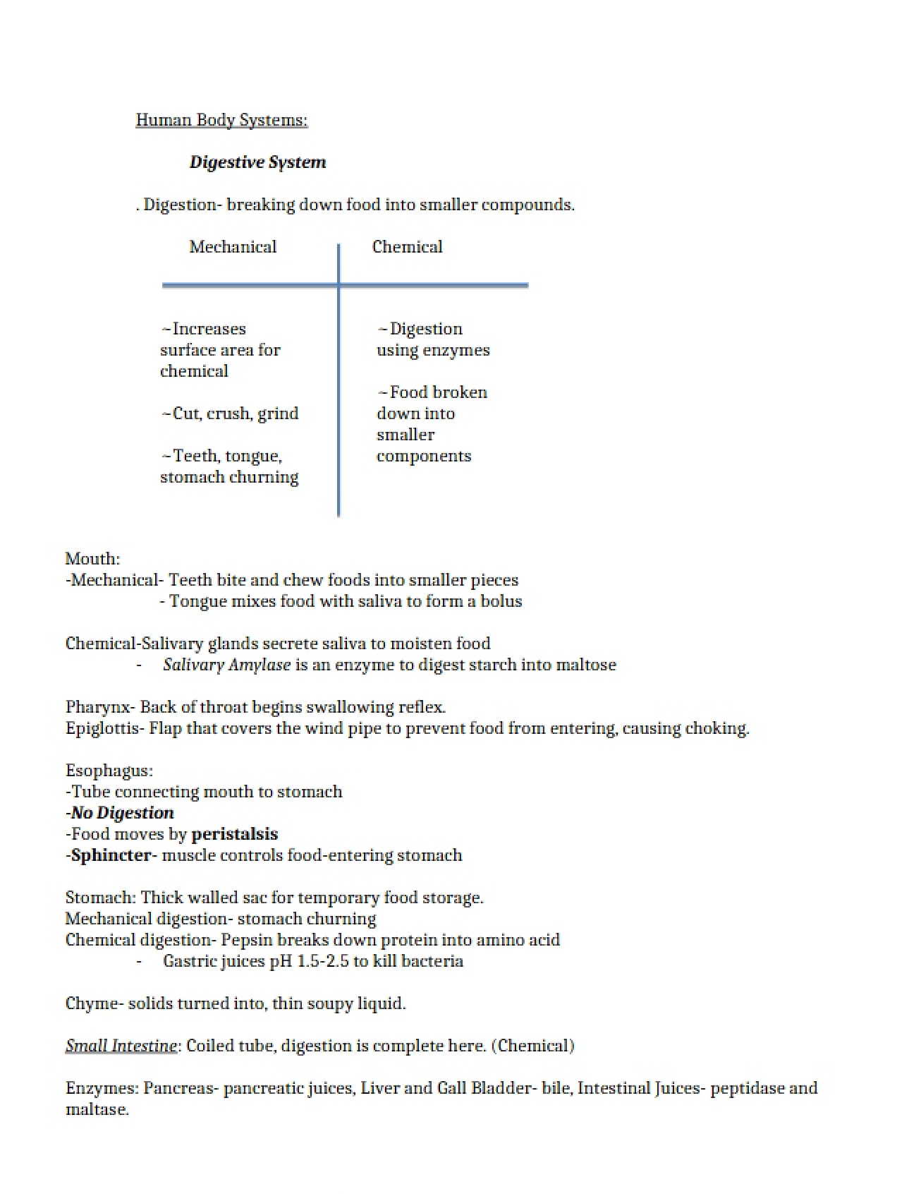 Overview of Human Body Systems