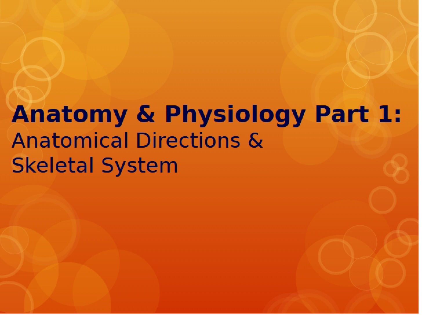 System of the Skeleton (2)