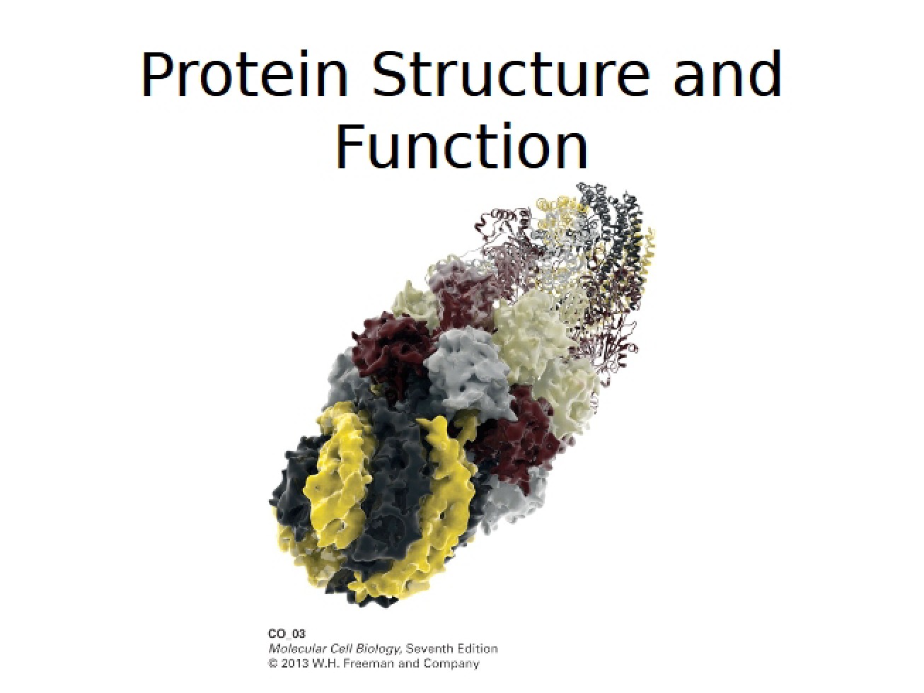 Cell Biology Unit Two