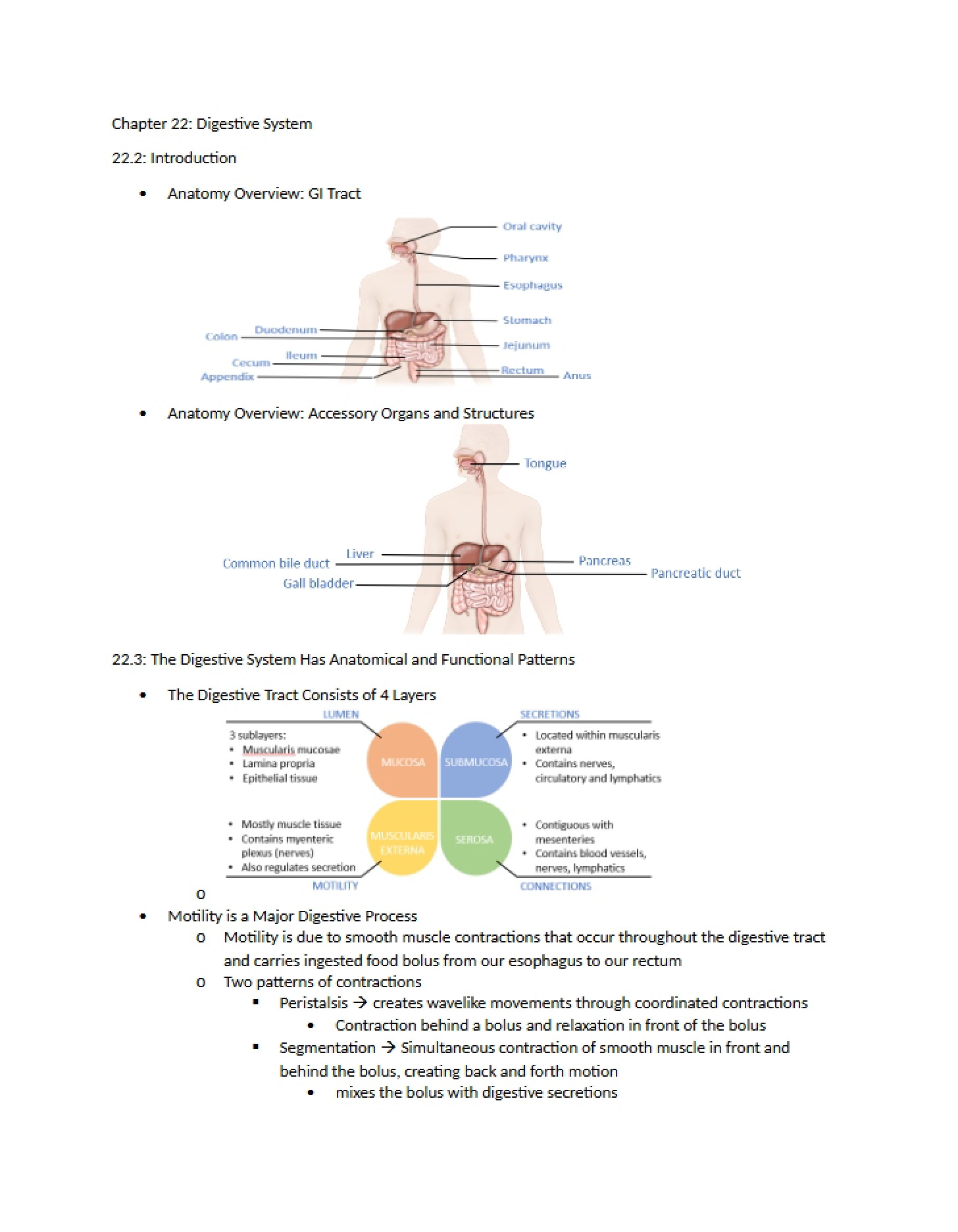 System of Digestion