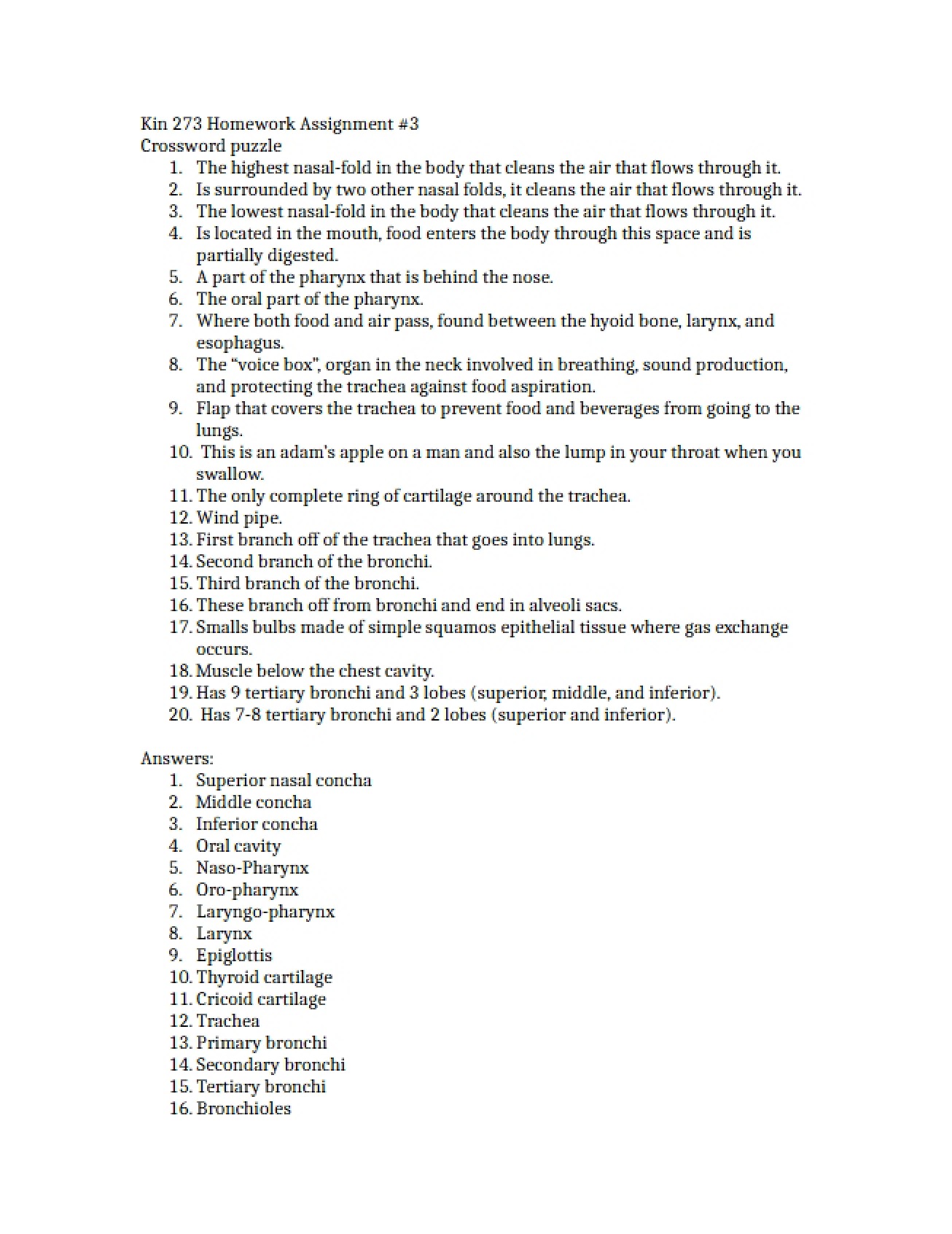 Third Homework Assignment