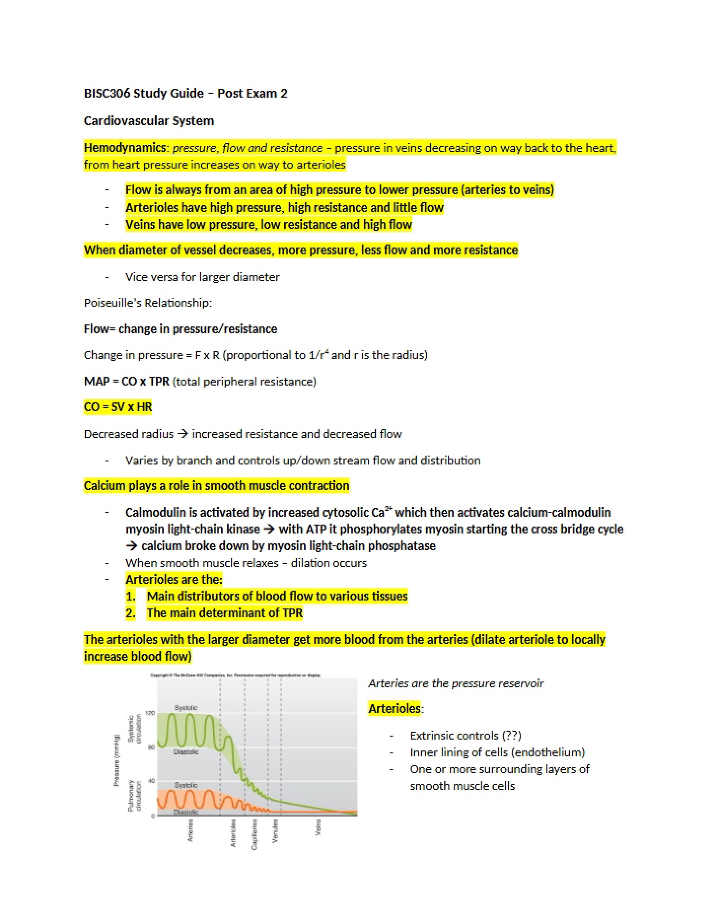 System of Cardiovascular