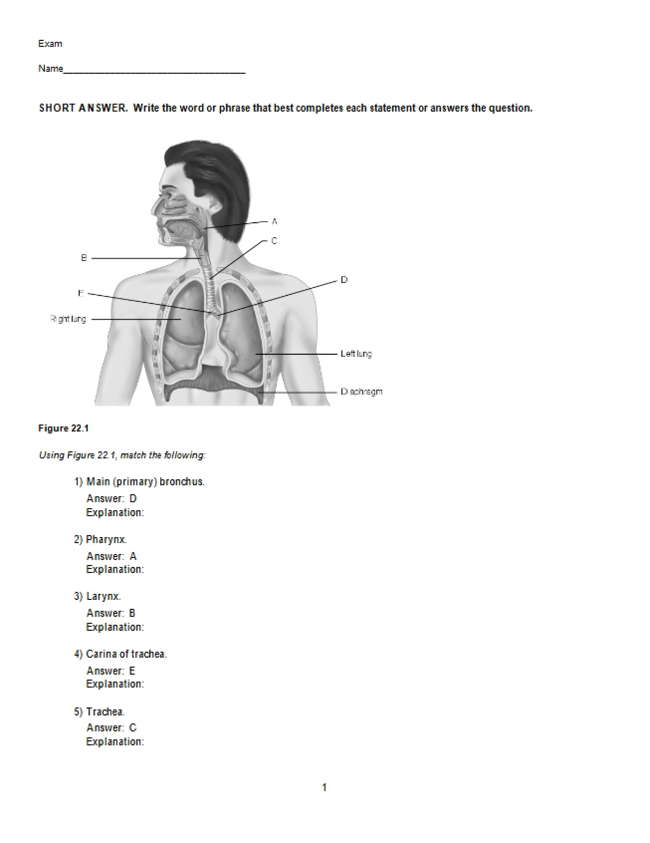 Human Anatomy Chapter Twenty-Two