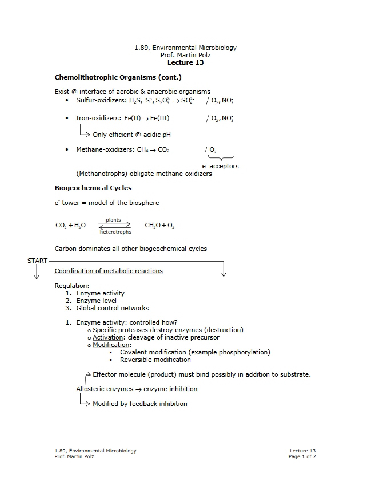 Organisms: Chemolithotrophic