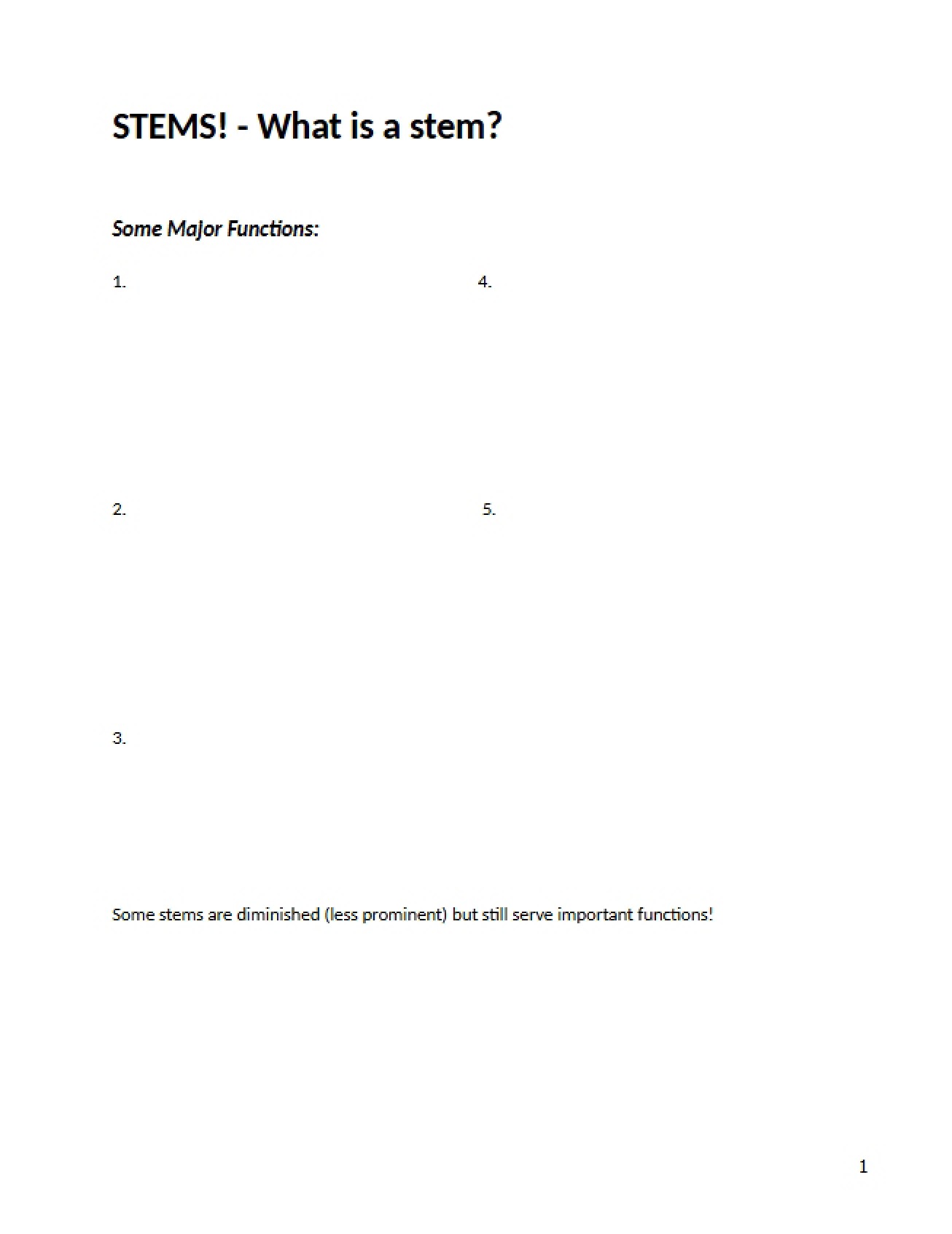 Accessible Notes on Stems