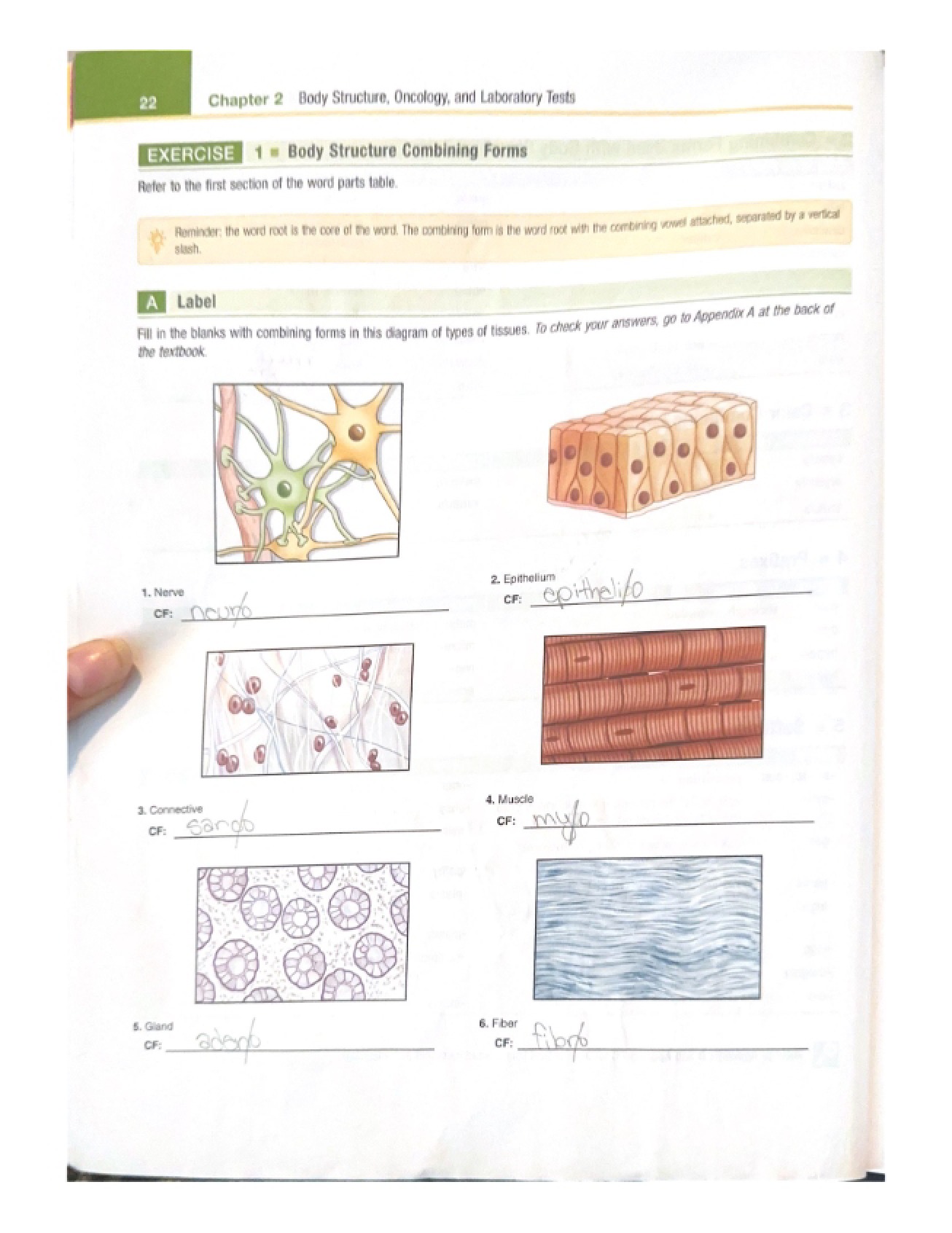 Medical Terminology Chapter