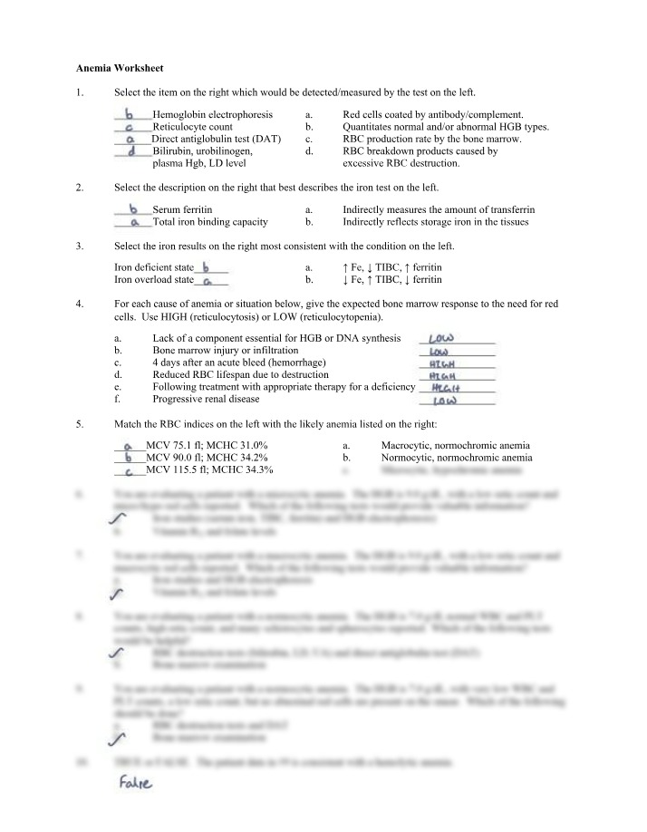 Worksheet on Anemia