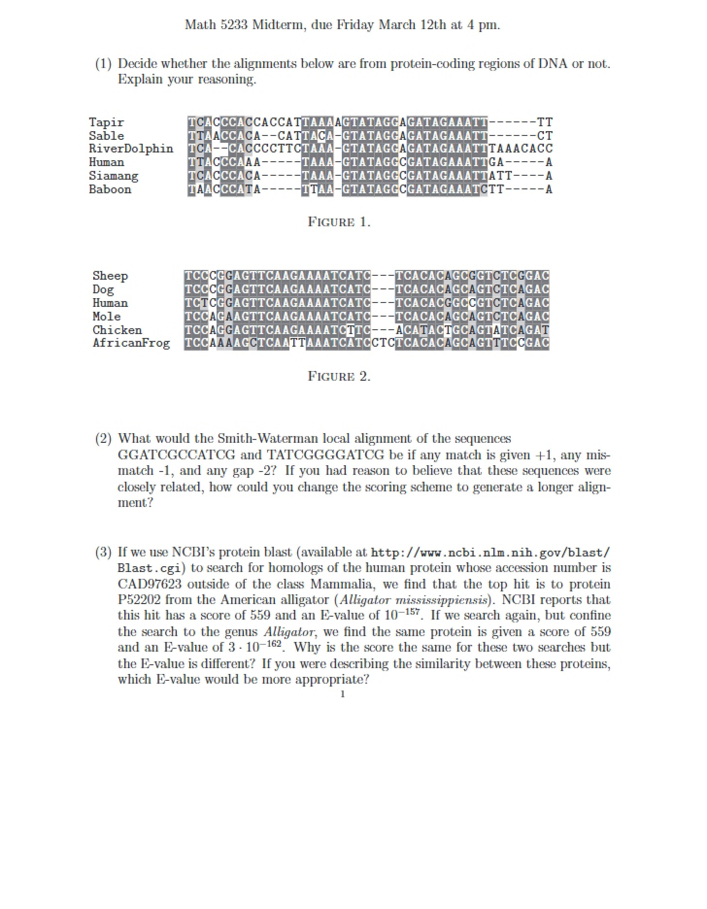 Midterm Examination