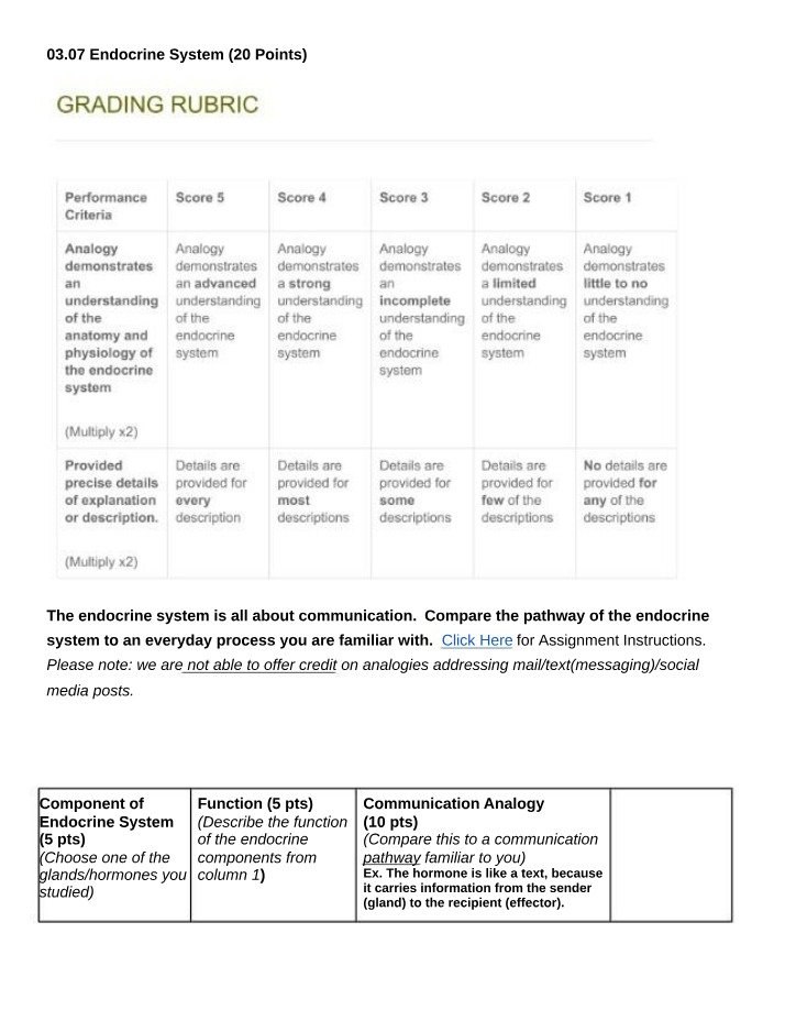 Endocrine System Pathway Compared to Everyday