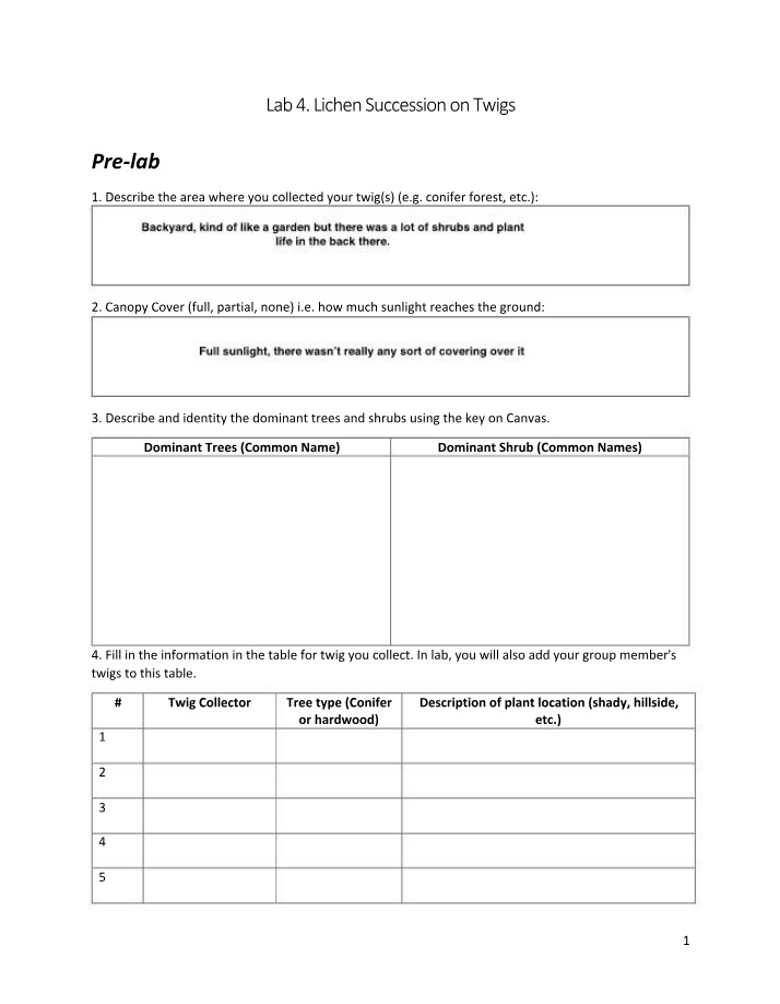 Worksheet for Lab 4