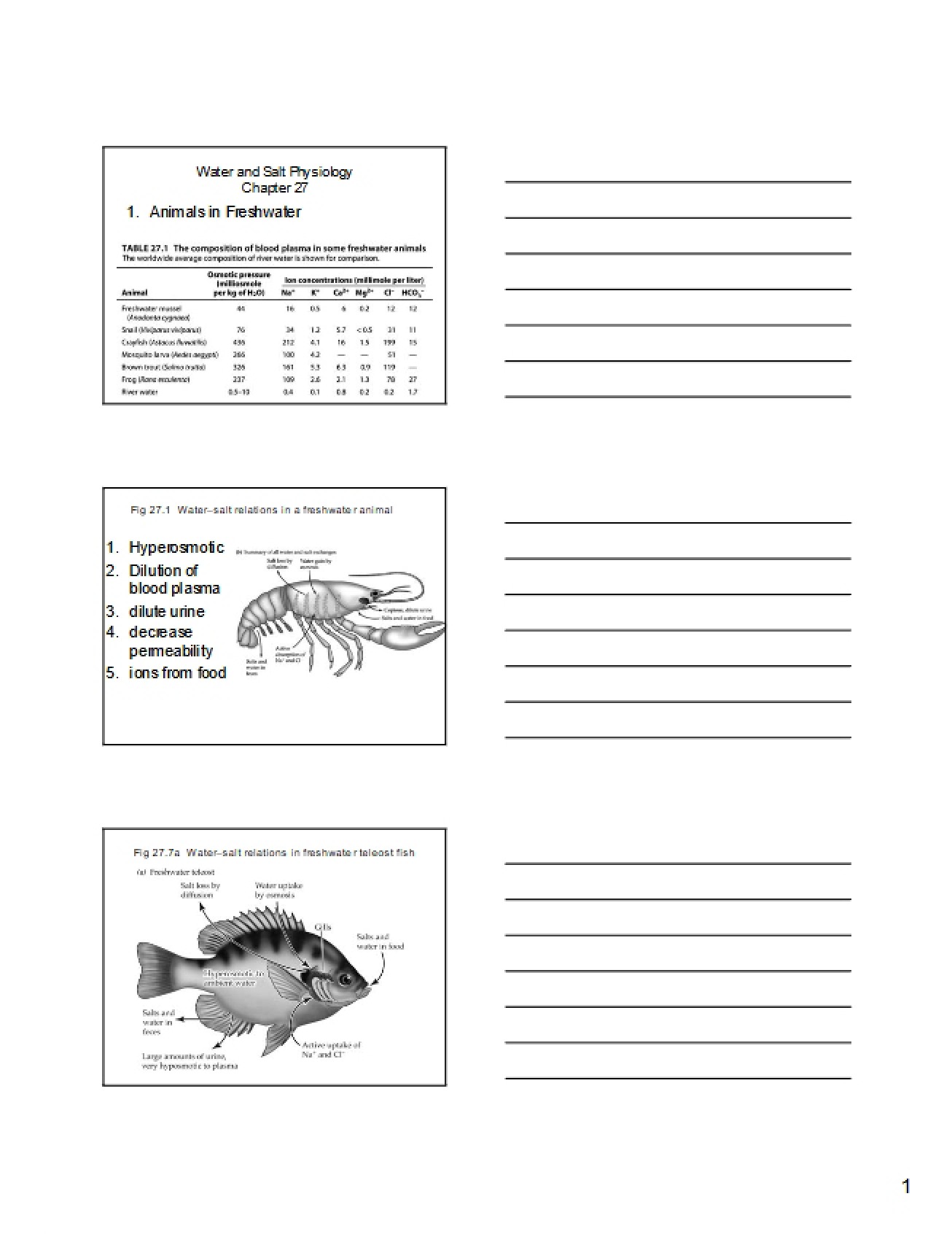 Physiological Aspects of Salt and Water Balance