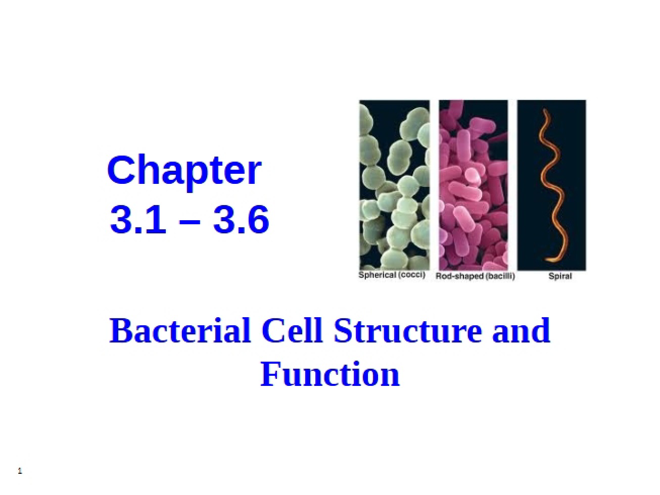 Lecture on Chapter 3 (Jan 23, 2015)