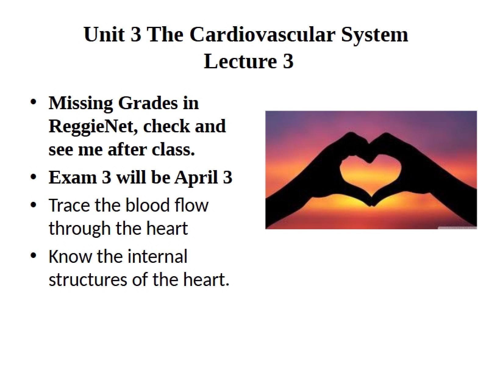 Unit Three Third Lecture