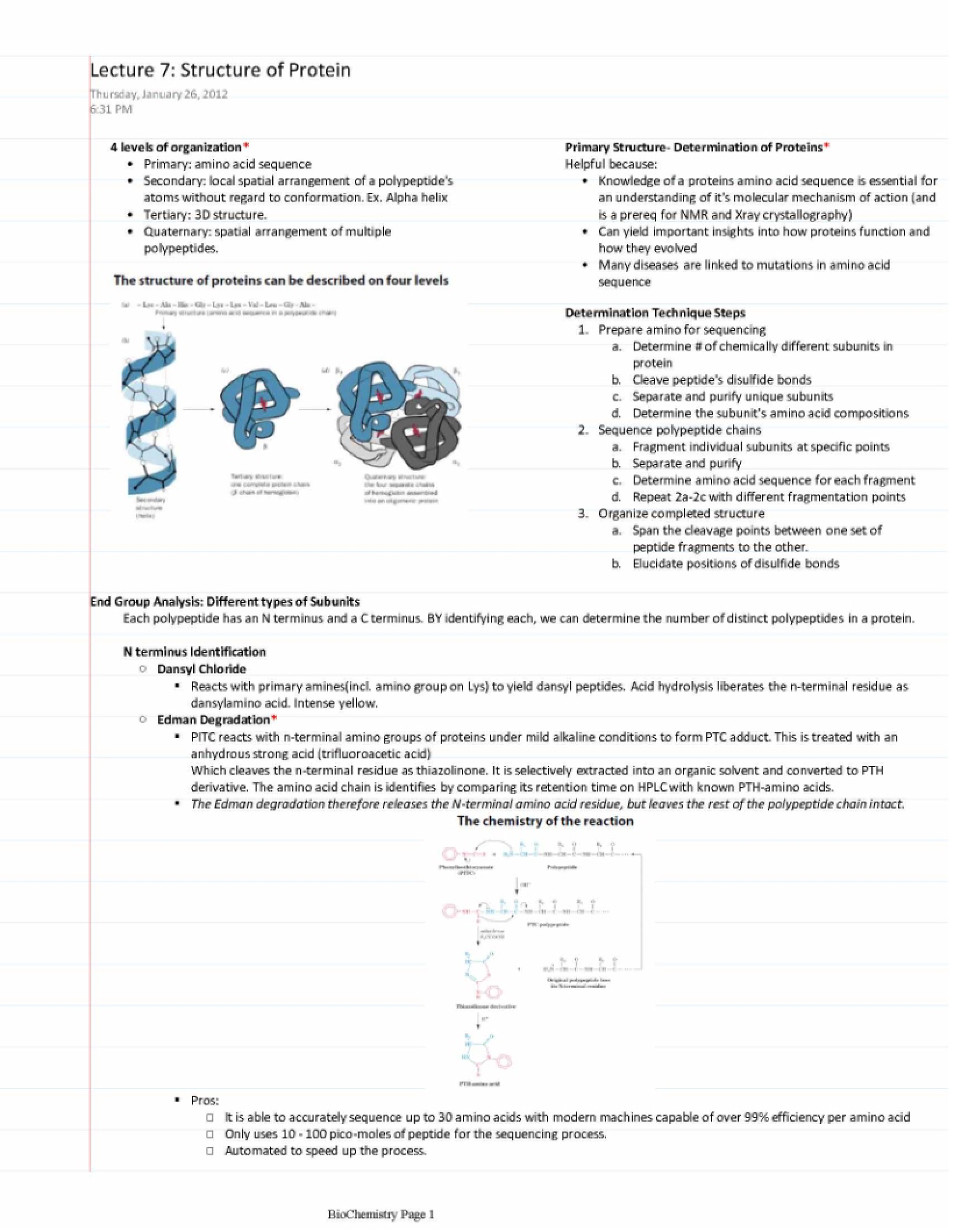 Protein Structure