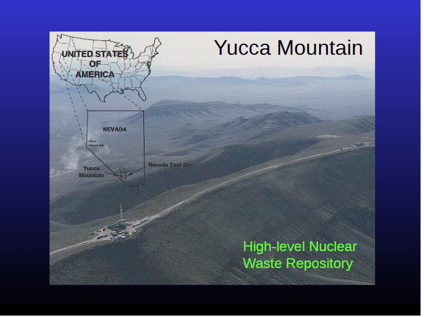 Mountain Yucca