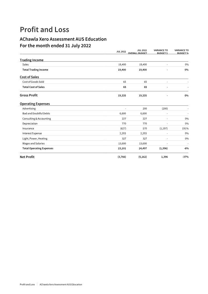 Profit and Loss Statement