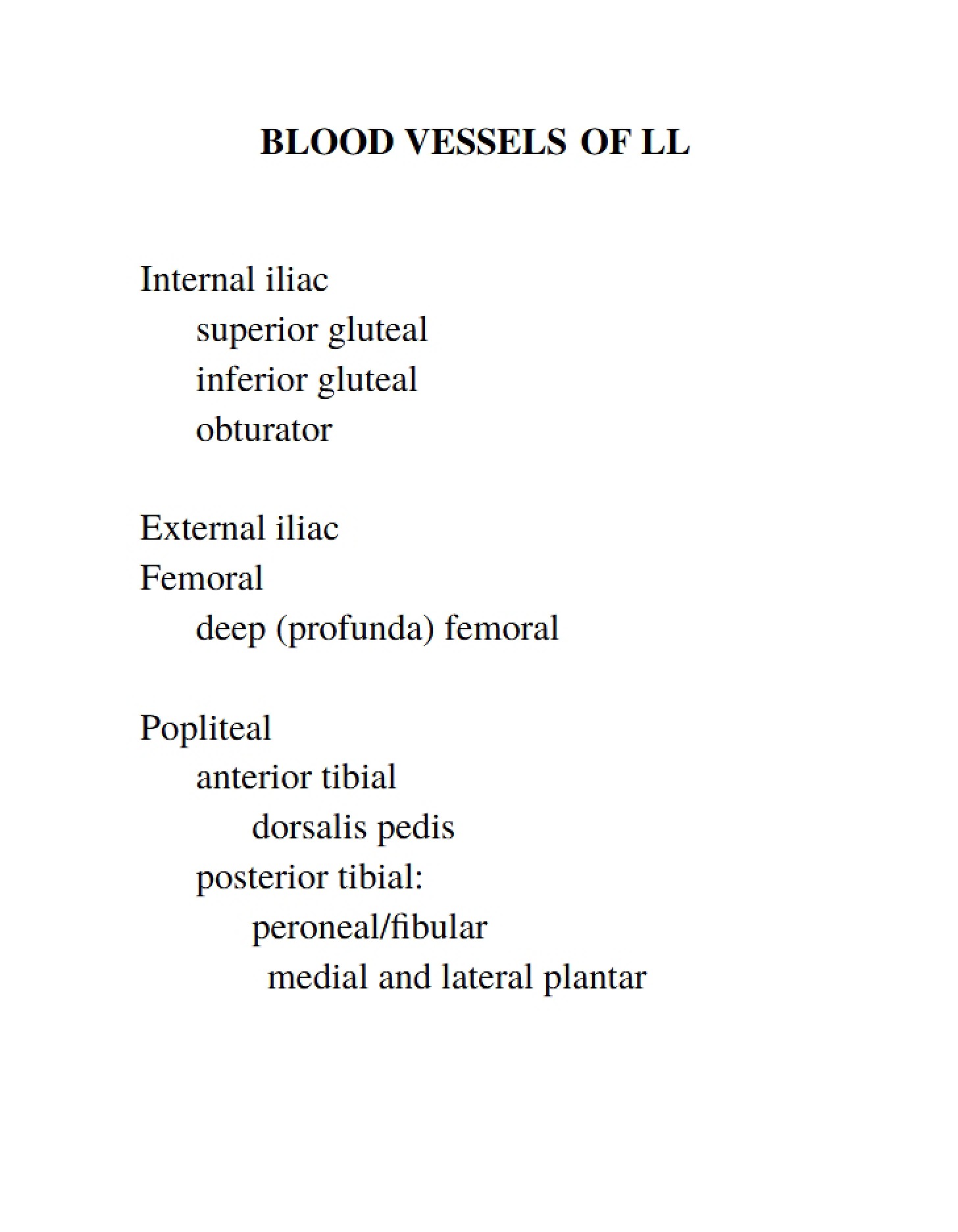 Lower Limb Blood Vessels