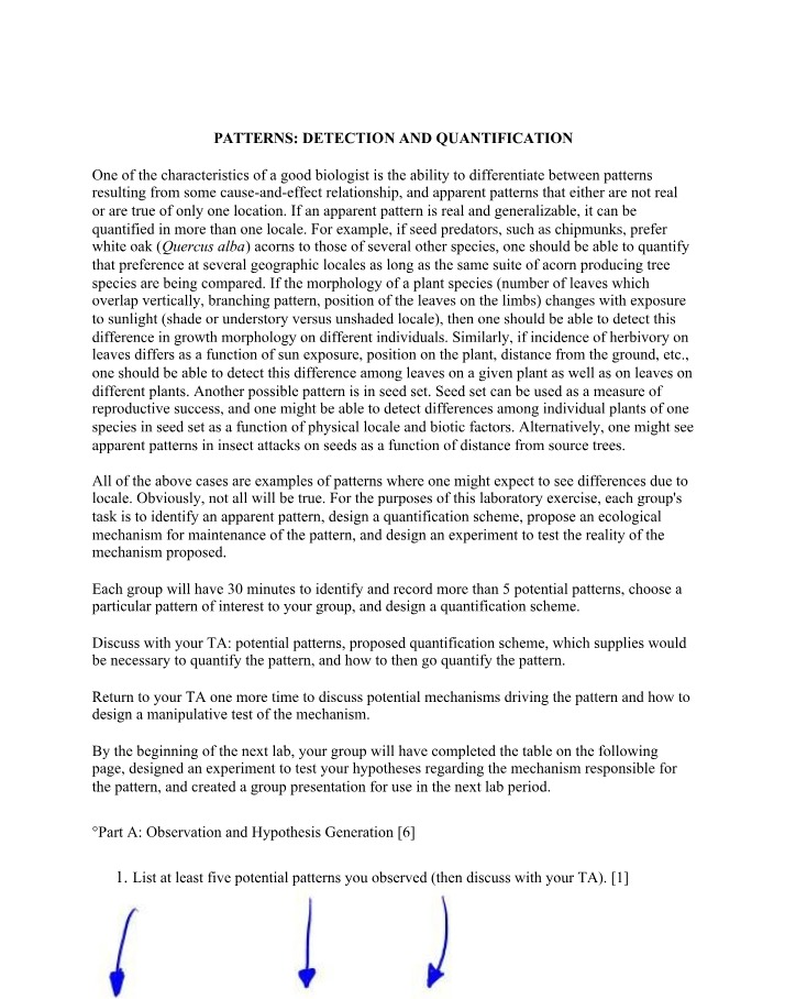 Patterns Detection and Quantification Worksheet 12