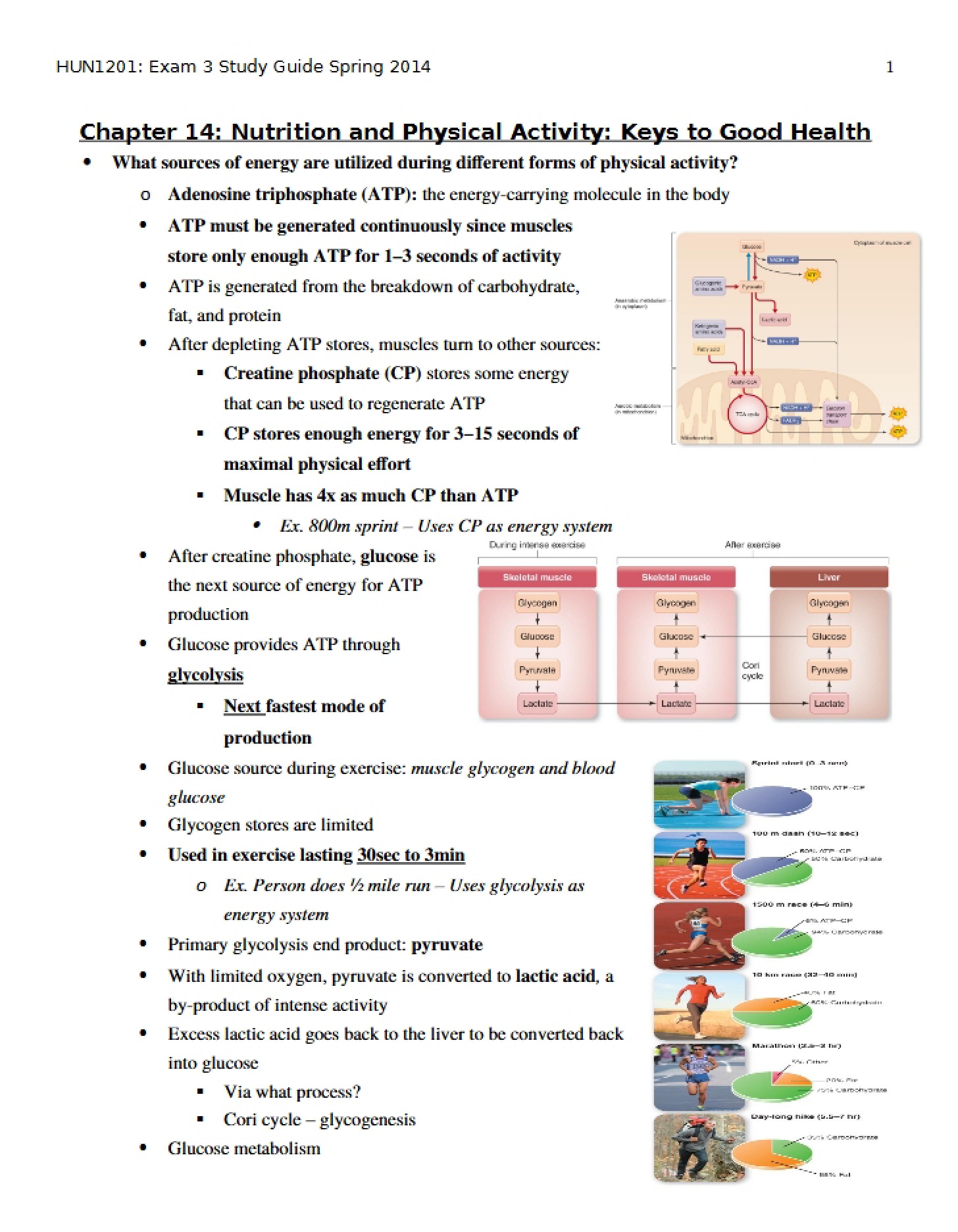 Exam 3 Study Workbook