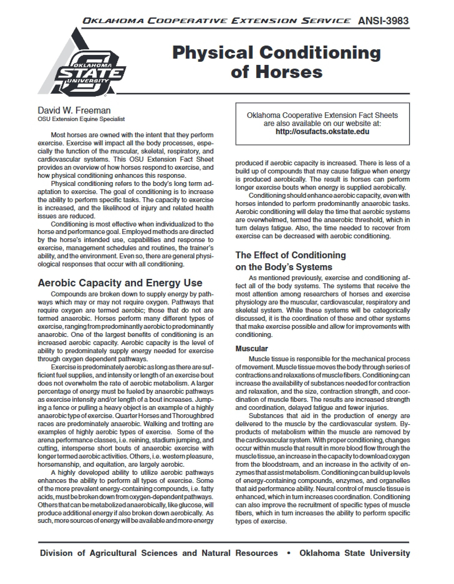 Conditioning Horses Physically