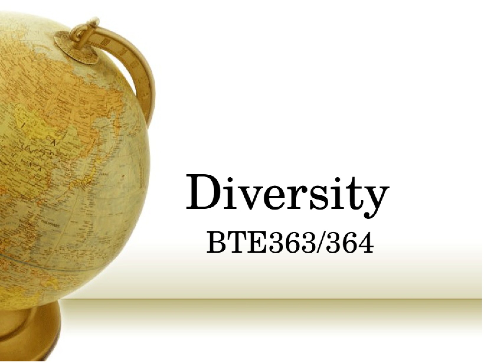 Diversity Concepts