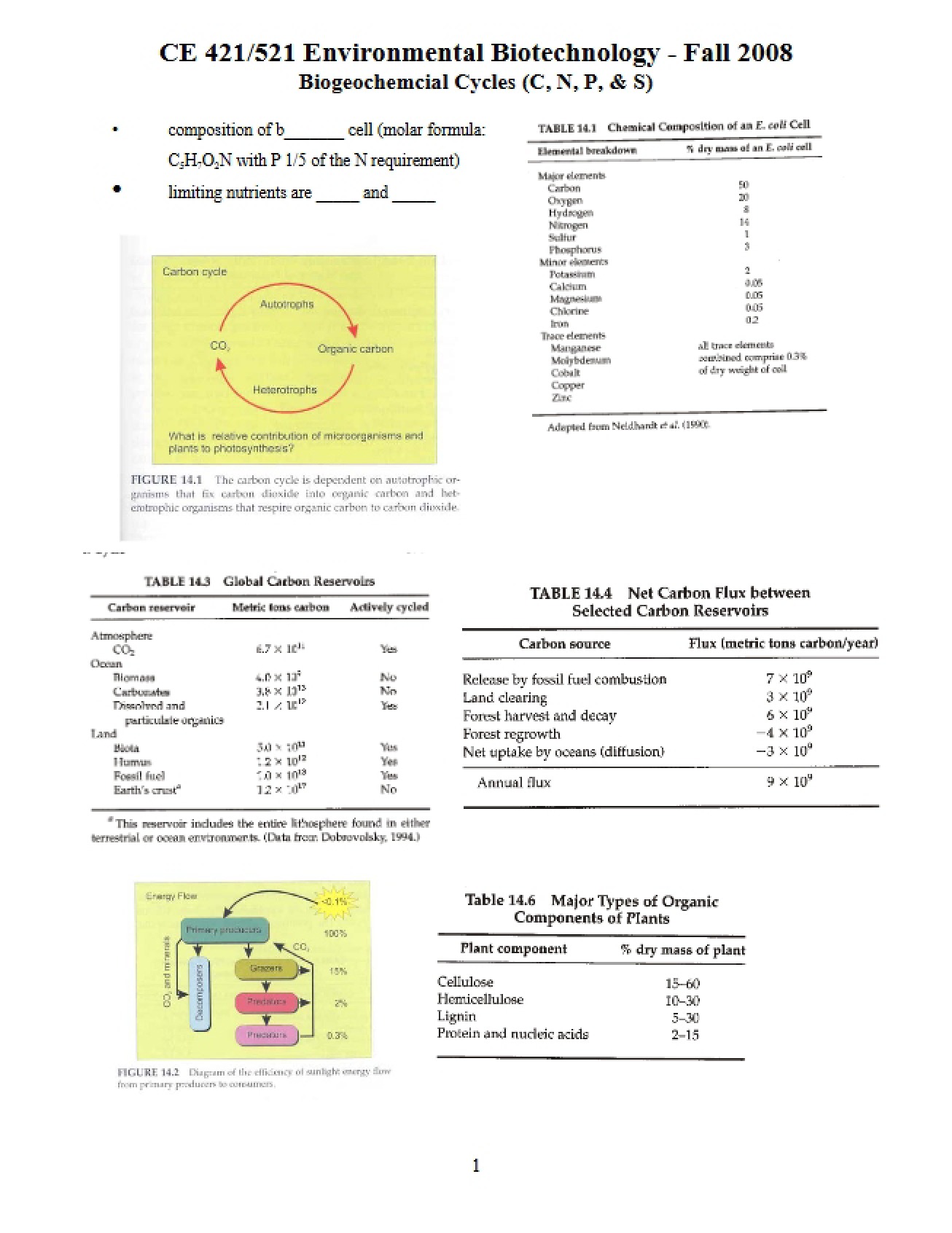 Chapter Three Lecture Notes with Blanks, Fall 2008