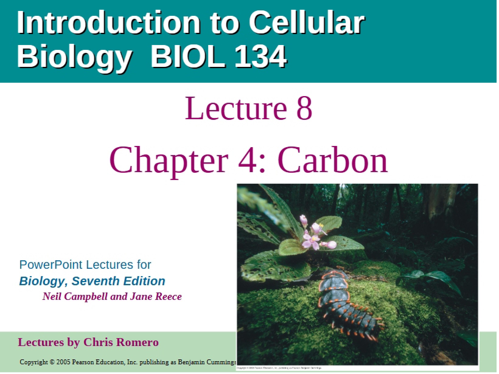 Carbon Chapter 4