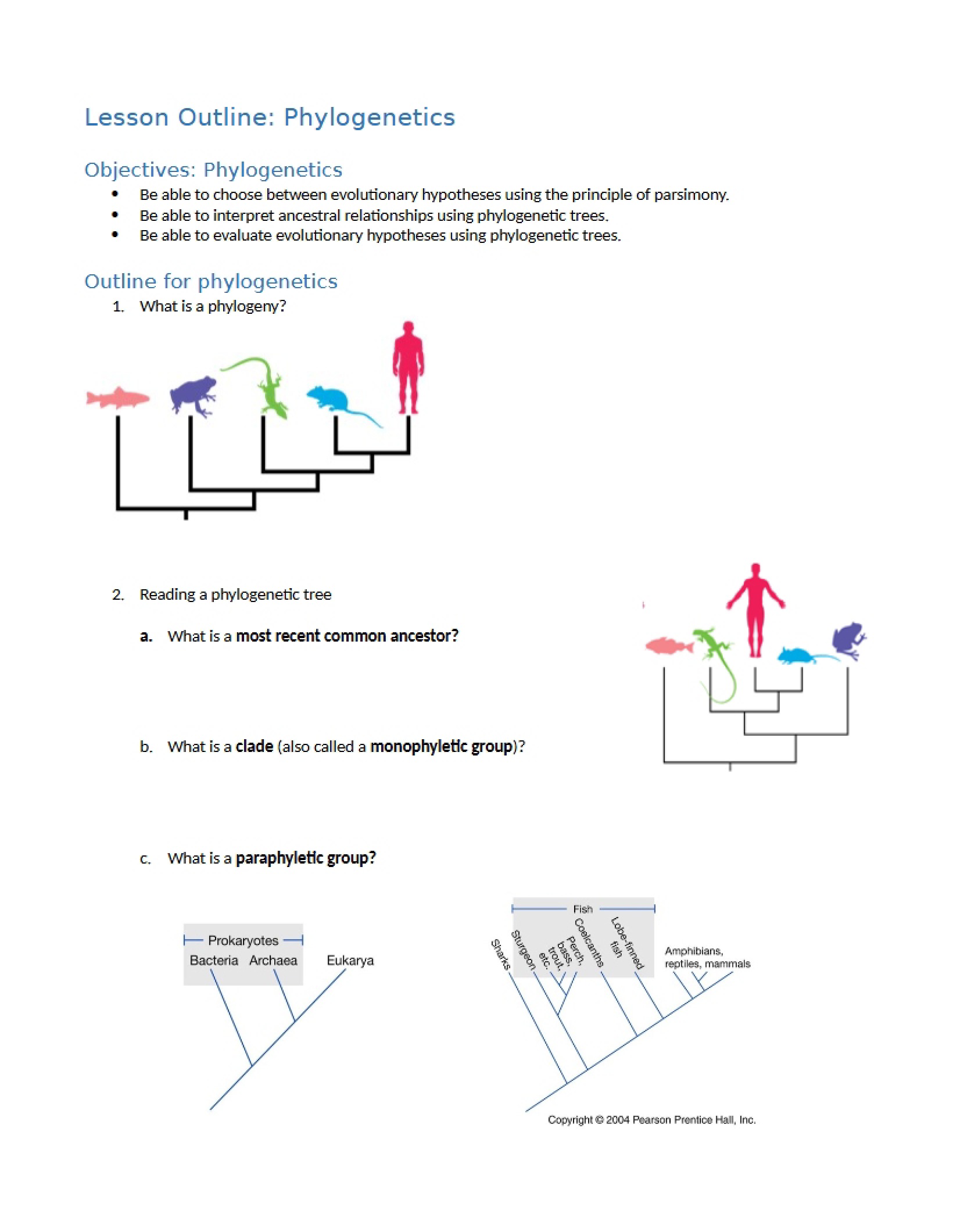 Phylogenetic Principles