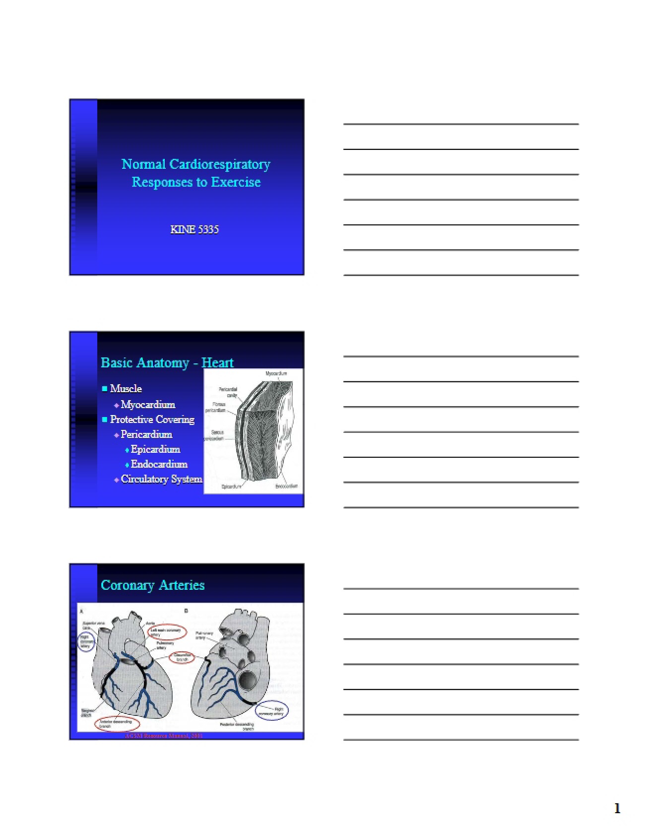 Cardiorespiratory Response to Normal Exercise