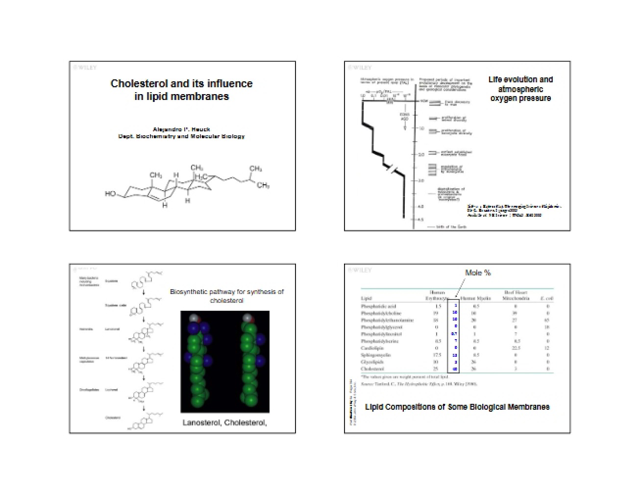 Lipid Membrane Influence from Cholesterol