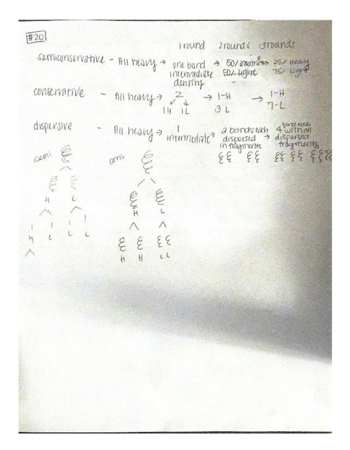 Biology 2140 Exam