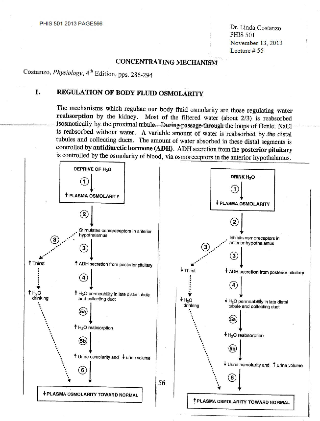 Mechanism of Concentration (Lecture 55)