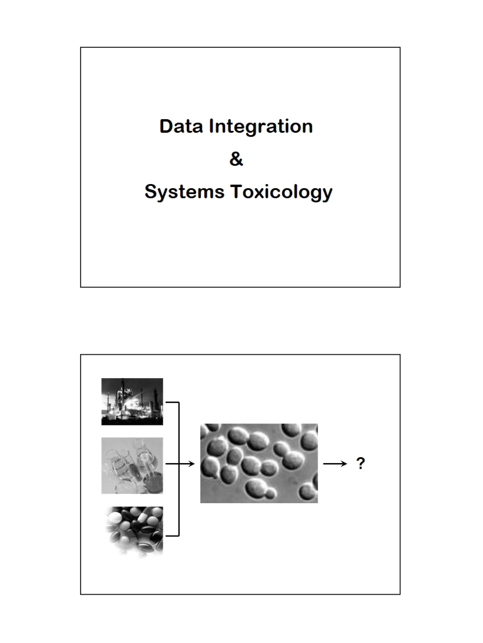Systems Toxicology and Data Integration