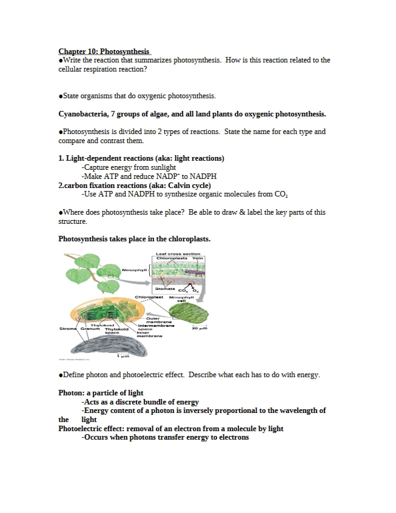 Photosynthesis Chapter 10