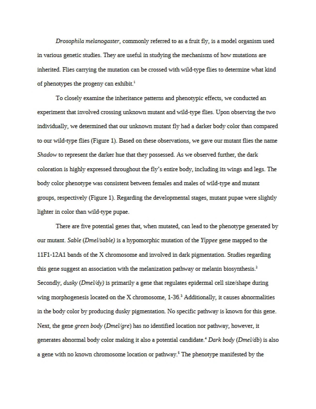 Studies on Drosophila Melanogaster