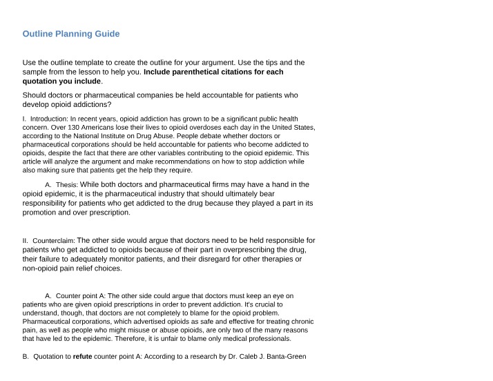 Planning Guide - Who is Responsible for Opioid Addictions